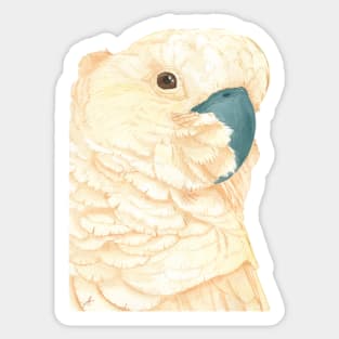 Salmon-crested Moluccan cockatoos watercolor - parrot portrait painting Sticker